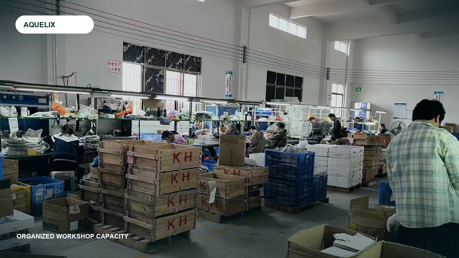 AQUELIX organized workshop capacity